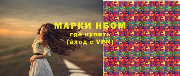 прущие крисы Верея