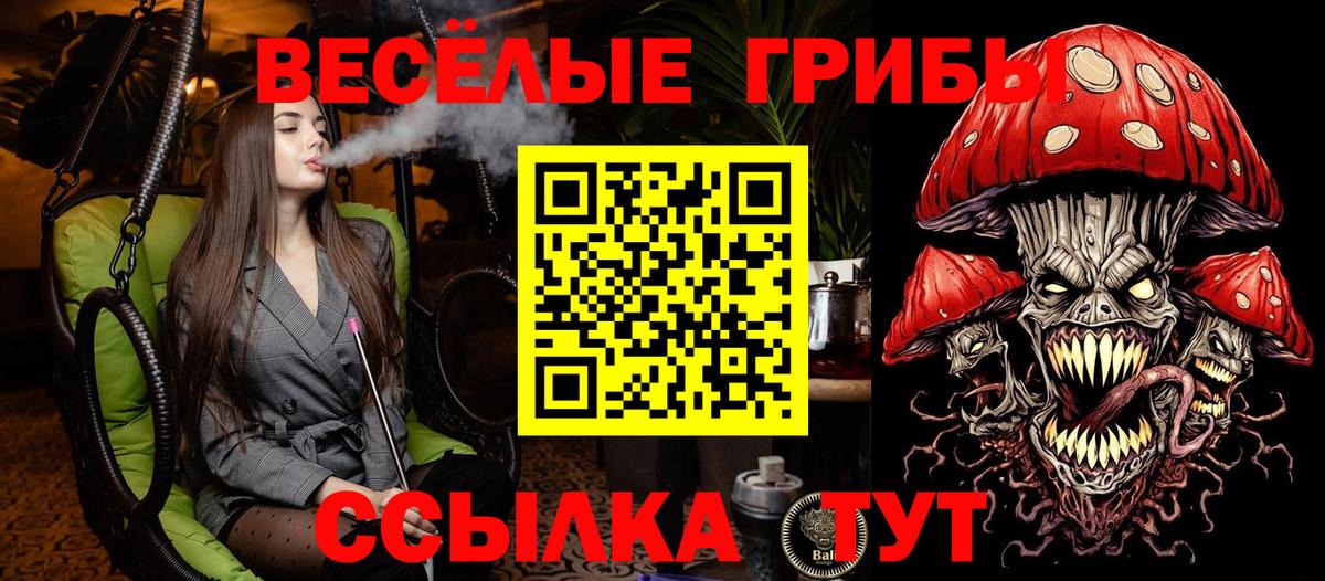 Фурманов  Псилоцибиновые грибы Psilocybine cubensis  Вход с VPN 