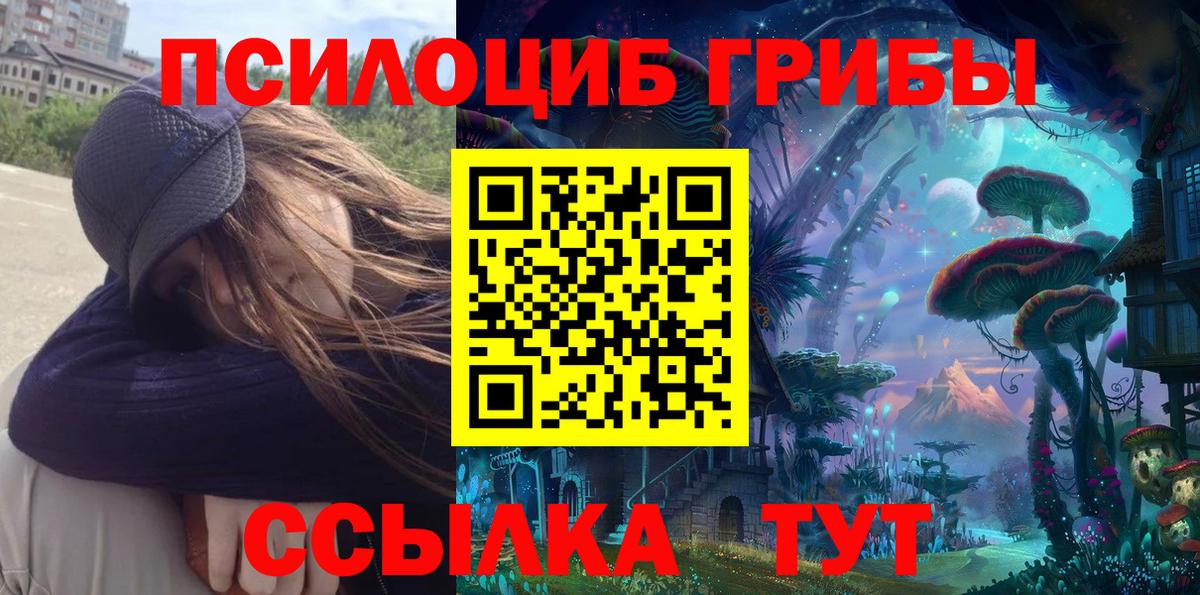 Псилоцибиновые грибы прущие грибы Фурманов